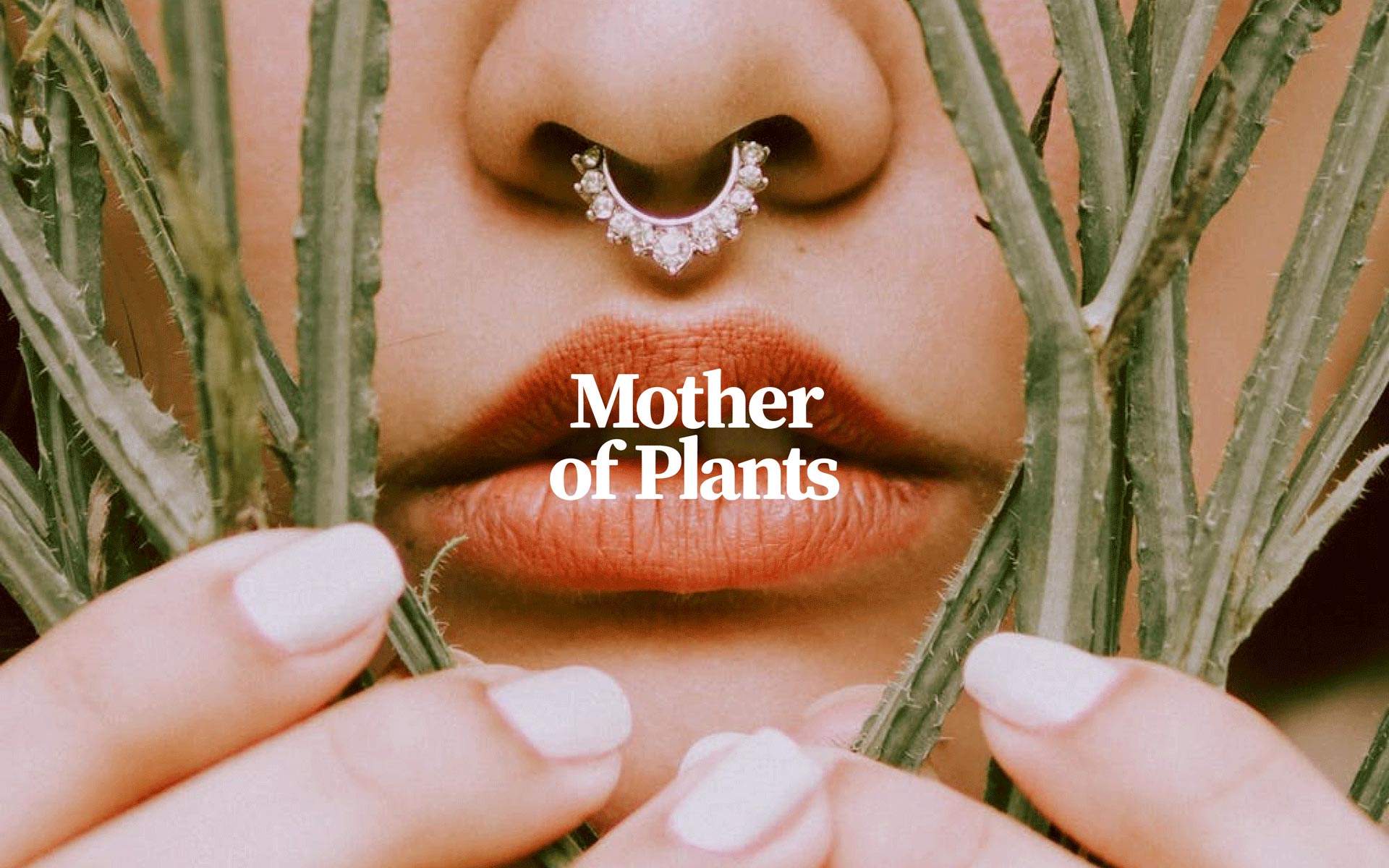 Cover image for Mother of Plants Brand and System Design project. 